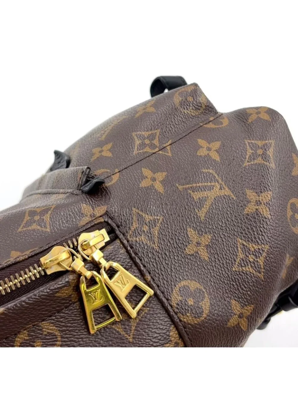 Louis Vuitton Palm Springs PM Monogram Leather